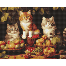 Алмазна мозаїка/вишивка Котики і фрукти 40*50 см Ідейка AMO 7940