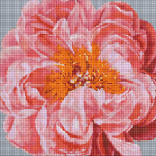 Алмазна мозаїка “Pink kiss“ ©Ira Volkova Ідейка AMO7079 40х40 см