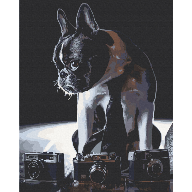 Картина за номерами. Art Craft Сором'язливий фотограф 40х50 см 11642-AC Картина за номерами. Art Craft Сором'язливий фотограф 40х50 см 11642-AC